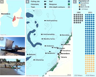 Temporal Change and Fishing Down Food Webs in Small-Scale Fisheries in Morondava, Madagascar